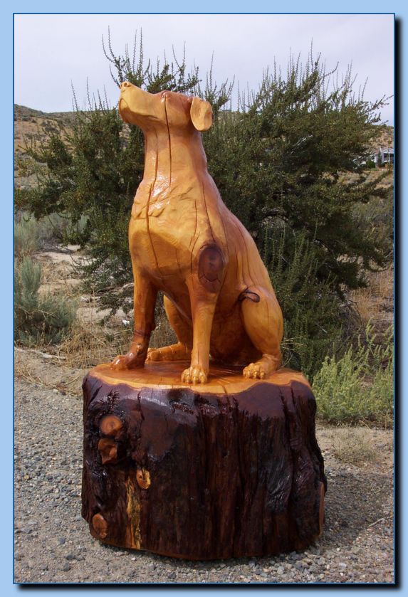 2-56 dog-rottweiler-archive-0012